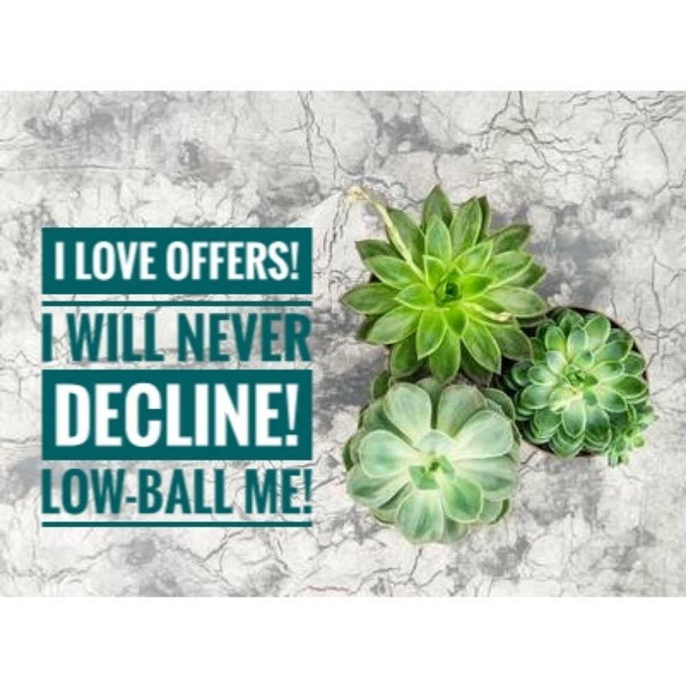 Make an offer!